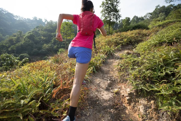 Sentier Des Femmes Qui Monte Sur Pente Montagne Dans Forêt — Photo