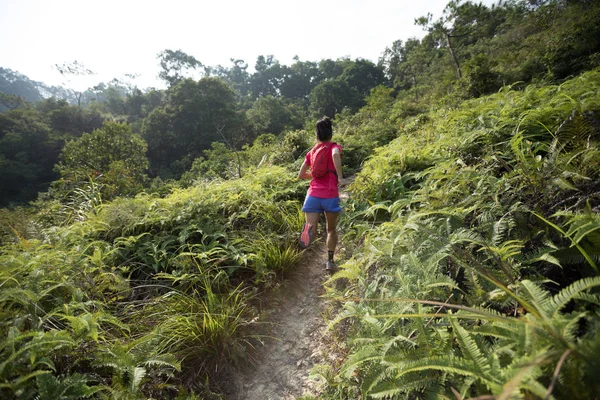 热带森林山坡上的妇女小径 — 图库照片