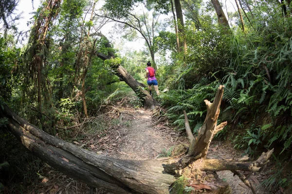 Woman ultra marathon running on tropical forest trail