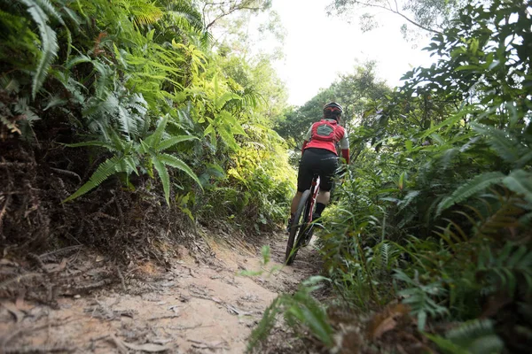 Cross Country Biking Female Cyclist Riding Mountain Bike Tropical Forest — Stock Photo, Image