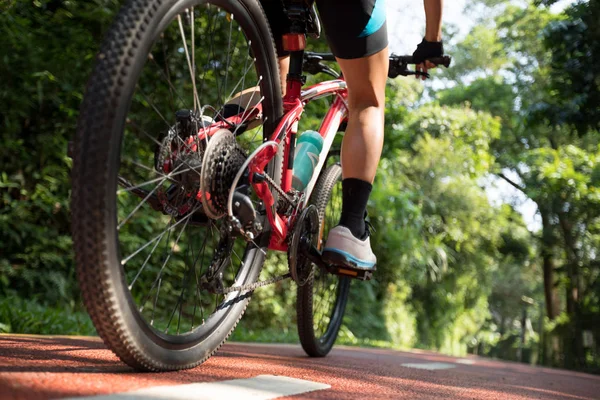 Woman Cycling Bike Path Park Sunny Daytime — Stock Photo, Image