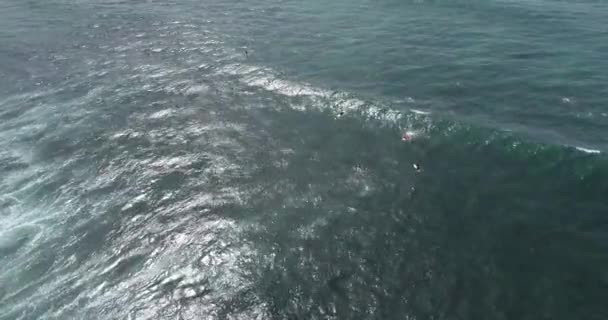 Aerial Footage Surfers Surfing Indian Ocean Water — ストック動画