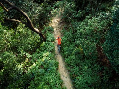 Tropikal orman patikasında dağ bisikleti süren kadın motosikletçi.
