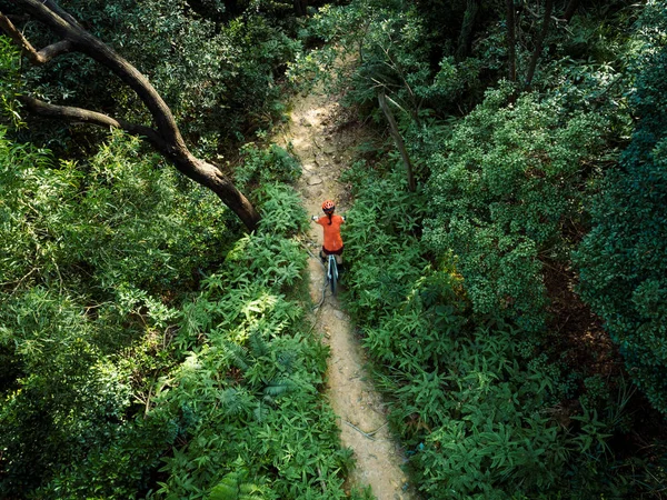Feminino Cross Country Ciclista Com Mountain Bike Trilha Floresta Tropical — Fotografia de Stock