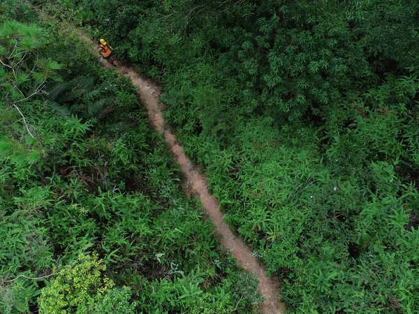 Vista Aérea Corredor Ultramaratona Fêmea Correndo Trilha Floresta Tropical — Fotografia de Stock