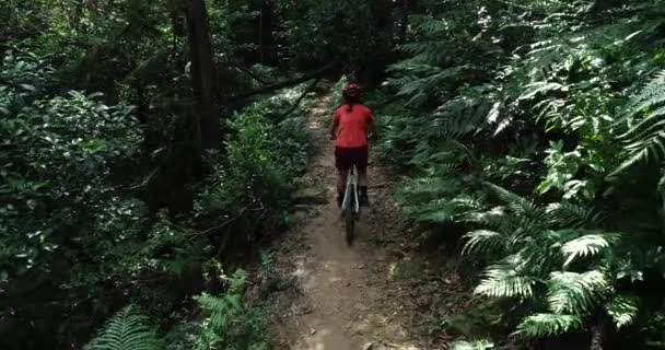 Female Cross Country Biker Cycling Mountain Bike Tropical Forest Trail — ストック動画