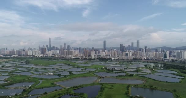香港与深圳天际线之间有鱼塘的乡村绿地 — 图库视频影像