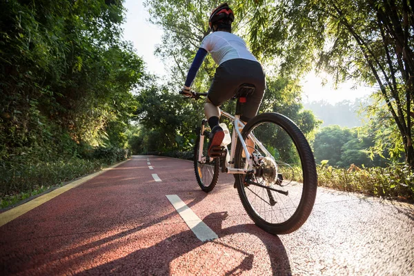 Vista Trasera Mujer Ciclismo Carril Bici Parque Amanecer — Foto de Stock