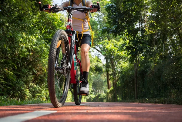 Unrecognizable Woman Cycling Bike Path Park Sunrise — 스톡 사진