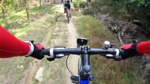 Ciclisti Sci Fondo Mountain Bike Sul Sentiero Tropicale Della Foresta — Video Stock