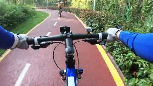 Cross Country Biking Cyclists Riding Mountain Bikes Tropical Rainforest Trail — 비디오