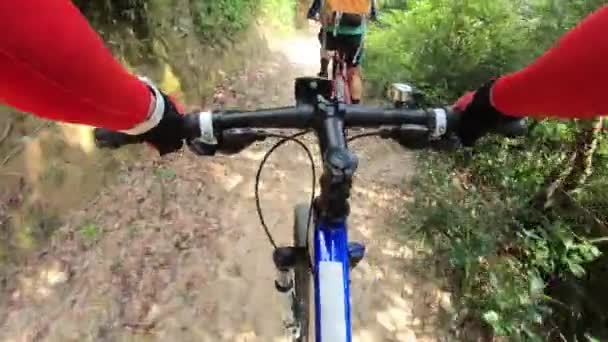 Längdcykling Cyklister Ridning Mountainbikes Tropisk Regnskog Spår — Stockvideo