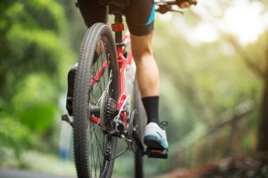 Dışarıda dağ bisikleti süren kadın bisikletçi bacakları.