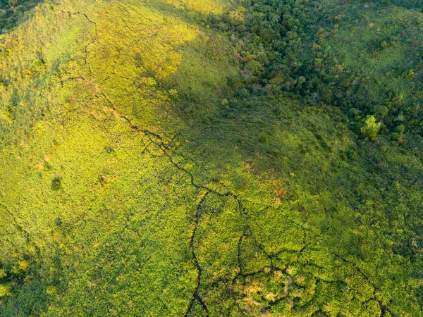 Вид Воздуха Пейзаж Горных Лугов Зимой — стоковое фото