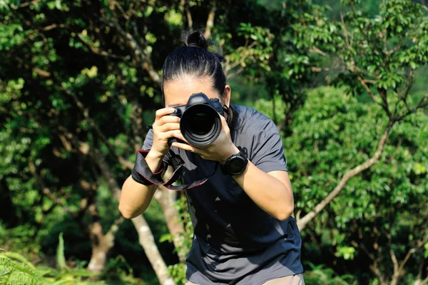 Fotograf Tar Foto Grön Skog Med Professionell Digitalkamera — Stockfoto