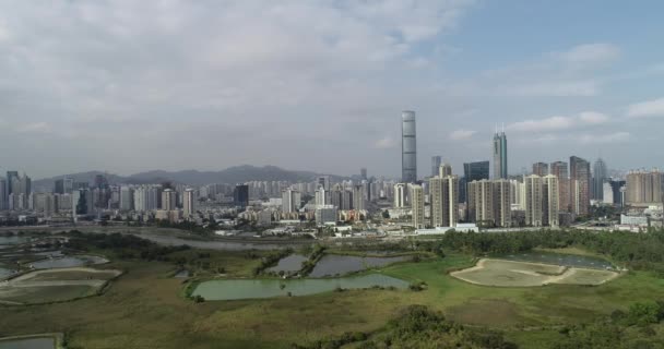 Vidéki Zöld Mezők Halastavakkal Kínai Shenzhen Városképével — Stock videók