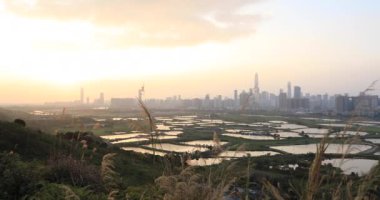 Kırsal alanlarda gün doğumu, Çin 'in Shenzhen kentindeki balık göletleri.