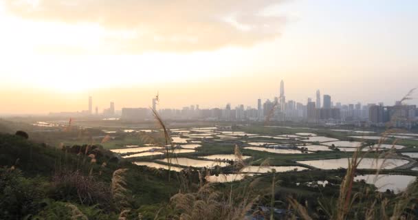 Wschód Słońca Nad Polami Wiejskimi Stawami Rybnymi Nad Shenzhen Chiny — Wideo stockowe