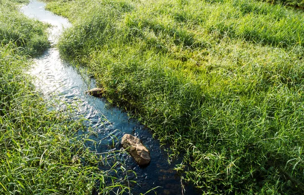 Erba Verde Con Piccolo Torrente Primavera Sole Del Mattino — Foto Stock