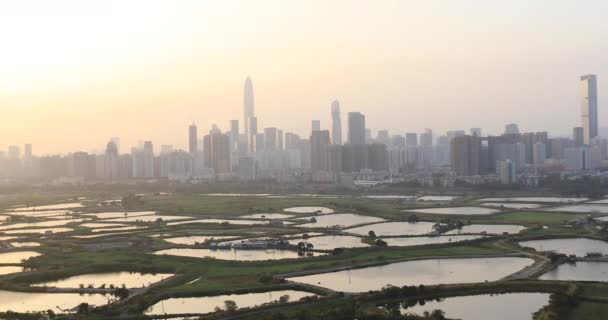 Vackra Bilder Shenzhen Kina Och Fiskdammar Landsbygdslandskapet Vid Solnedgången — Stockvideo