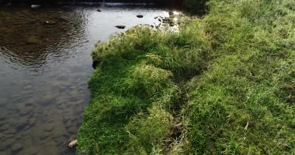 Creek Met Kunstmatige Trap Waterval Groen Gras Lente Ochtend Zonneschijn — Stockvideo