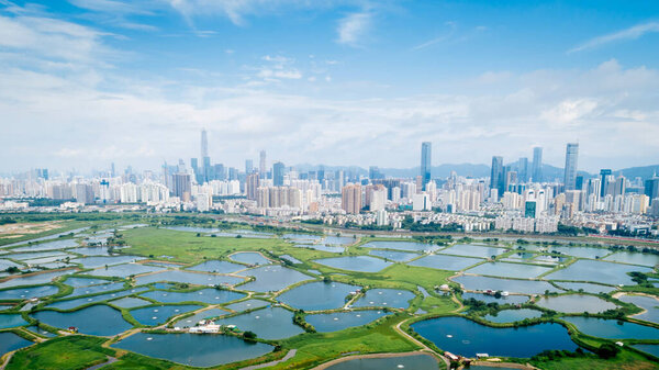 Beautiful landscape of skyline of Shenzhen city, China