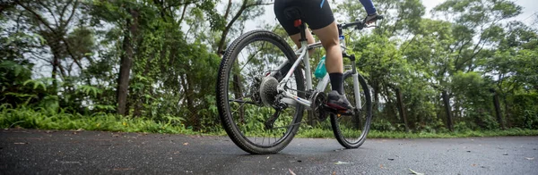 Bassa Sezione Ciclista Bicicletta Sulla Pista Soleggiata Del Parco Estate — Foto Stock