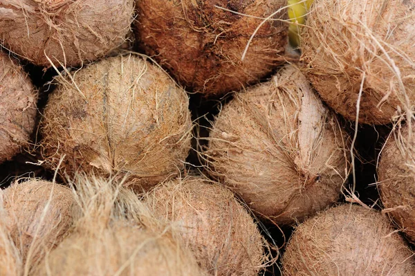 Yellow King Coconuts Sale Sri Lanka — Stock Photo, Image