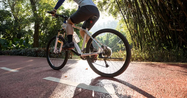 Güneşli Bir Günde Parktaki Bisiklet Yolunda Bisiklet Süren Bir Kadın — Stok fotoğraf