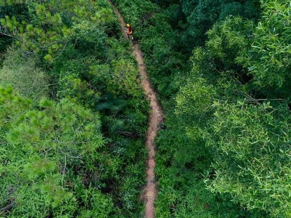 Vista Aérea Corredor Ultra Maratona Feminino Correndo Trilha Floresta Tropical — Fotografia de Stock