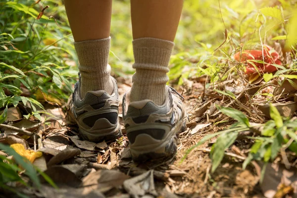 Legs Female Hiker Walking Trail Spring Mountains — Stock Photo, Image