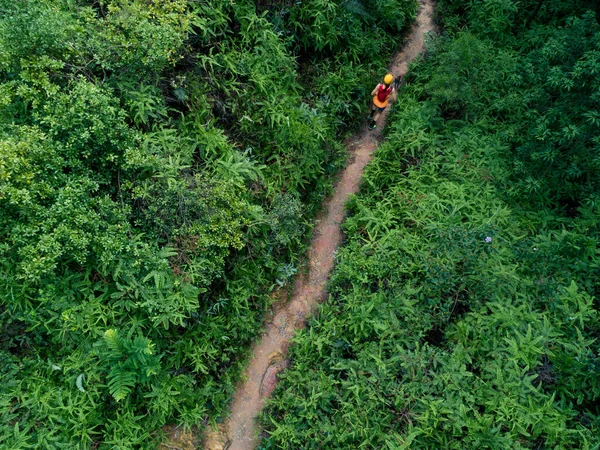 Vista Aérea Corredor Ultra Maratona Feminino Correndo Trilha Floresta Tropical — Fotografia de Stock