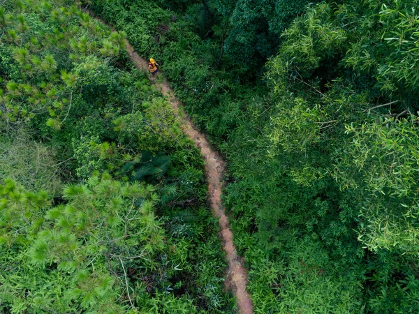 Vista Aérea Corredor Ultra Maratona Feminino Correndo Trilha Floresta Tropical — Fotografia de Stock