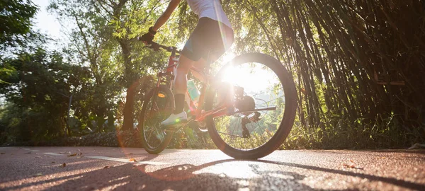 Alacsony Rész Női Kerékpározás Kerékpárút Parkban Napsütéses Nappal — Stock Fotó