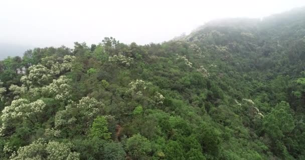 山区春季热带森林的空中摄像 — 图库视频影像