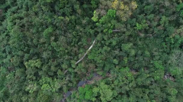 Filmagem Aérea Floresta Tropical Primavera Nas Montanhas — Vídeo de Stock