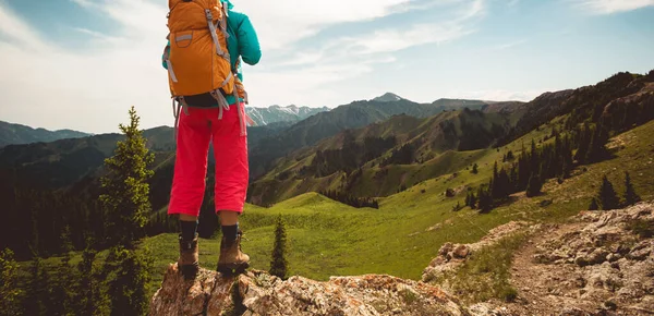 女徒步旅行者站在山顶悬崖边欣赏风景 — 图库照片