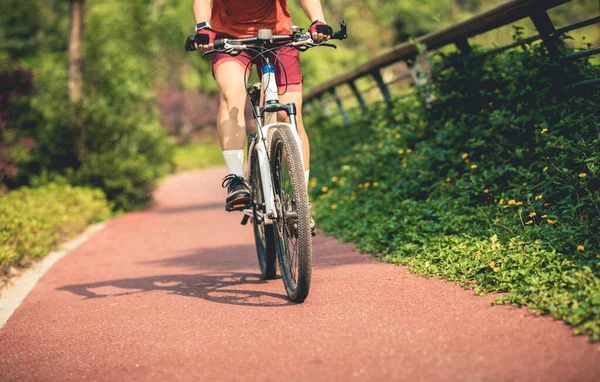 Cultivado Ciclista Femenina Montando Bicicleta Montaña Aire Libre — Foto de Stock