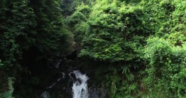 İlkbaharda tropik ormanlardaki vahşi dağ deresinin hava görüntüleri.