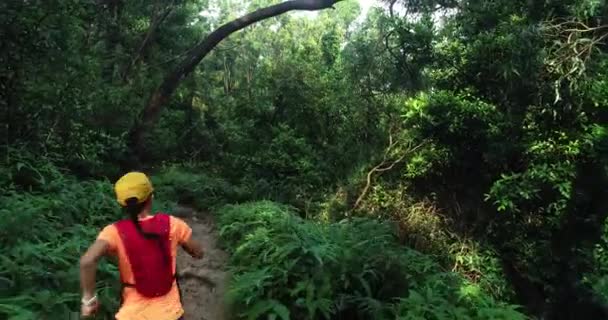 熱帯雨林の中を走る若い女性バックパッカー — ストック動画