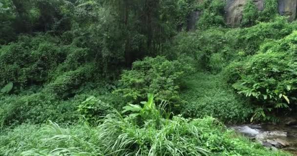 Tropikal Yaz Ormanlarında Akan Dere Suyunun Yüksek Açılı Görüntüleri — Stok video