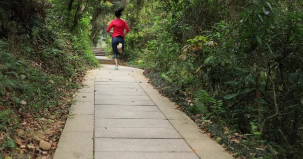 Жінка Спортивному Одязі Біжить Тропічній Лісовій Стежці — стокове відео