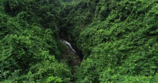 Aerial Footage Wild Mountain Creek Tropical Forest Spring — Stock Video