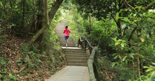 Woman in sportswear running in tropical forest staircase