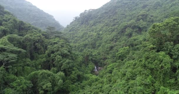 Aerial Footage Wild Mountain Creek Tropical Forest Spring — Stock Video