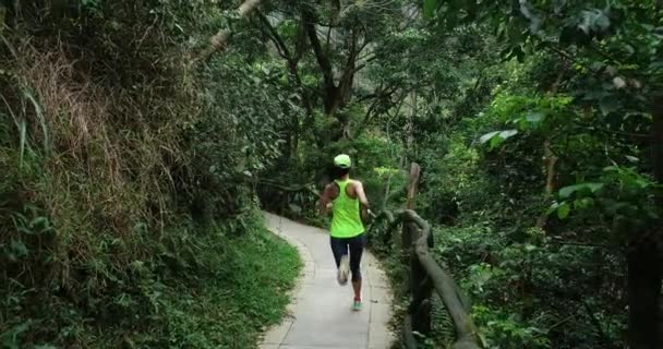 Spor Giyimli Genç Bir Kadın Tropik Orman Yolunda Koşuyor — Stok video