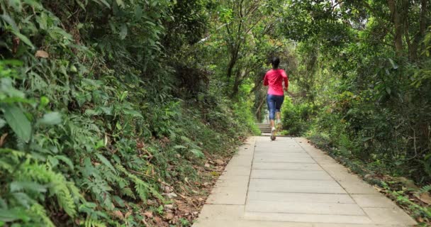 Mujer Ropa Deportiva Corriendo Sendero Del Bosque Tropical — Vídeos de Stock