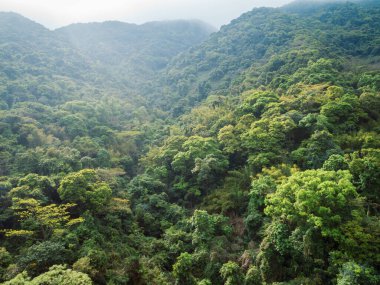 Sri Lanka 'da Mirissa' daki küçük adanın havadan görünüşü