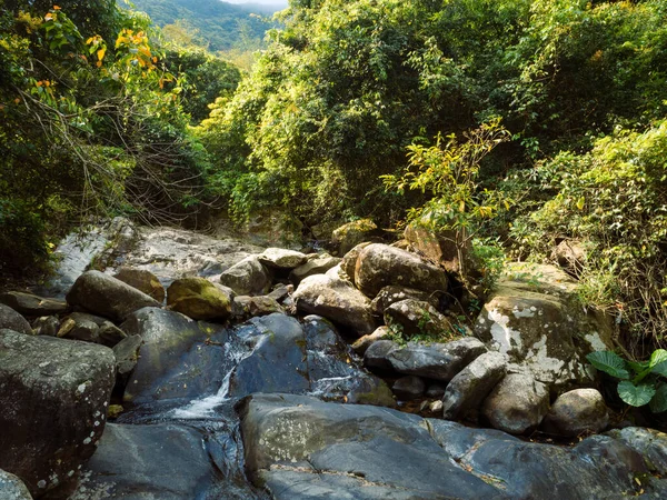 Krajobraz Małym Potokiem Tropikalnym Lesie — Zdjęcie stockowe