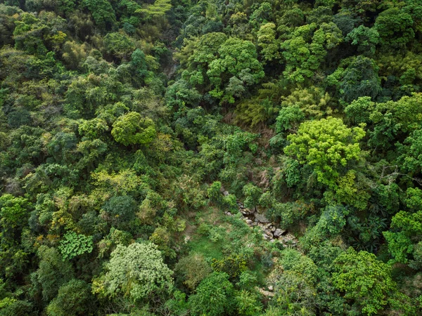 Vista Aérea Pequeno Riacho Floresta Tropical — Fotografia de Stock